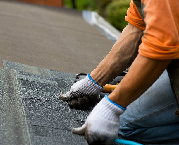 Best Roof Repair Services  in Hinckley, MN